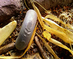 1600x1200 satunnainen 09