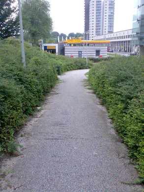 1600x1200 zufällig 09