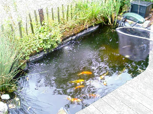 1600x1200 satunnainen 10