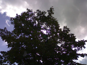 1600x1200 willekeurig 10