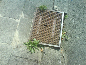 1600x1200 aléatoire 10