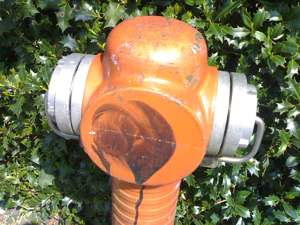 1600x1200 willekeurig 12