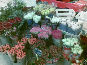 1600x1200 al azar 12