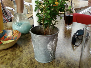 1600x1200 aléatoire 14