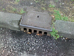 1600x1200 willekeurig 14