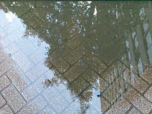 1600x1200 zufällig 18