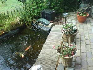 1600x1200 aléatoire 19