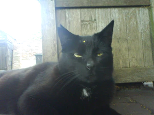 1600x1200 willekeurig 22