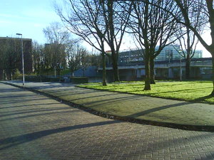 1600x1200 slumpmässig 24