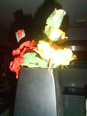 1600x1200 mxe 60 flash 02