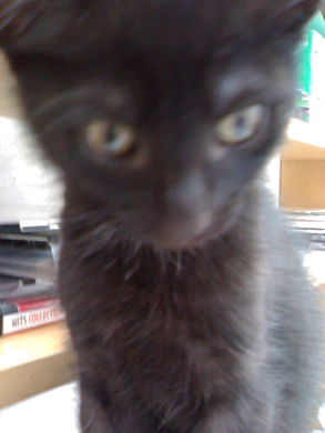 1600x1200 n70 v3x 02