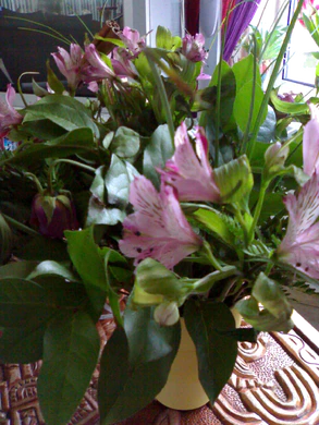 1600x1200 N70 v3x 04