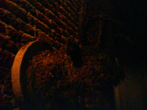 1600x1200 nightmode 02