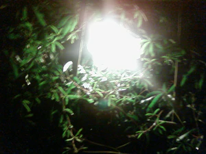 1600x1200 nightmode 04