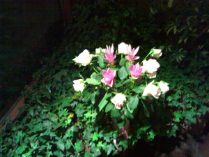 1600x1200 nightmode 05