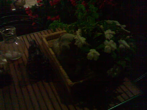 1600x1200 nightmode flash off 02