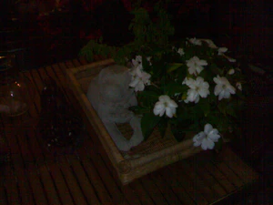 1600x1200 nightmode flash on 02