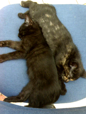 1600x1200 V3x n70 01