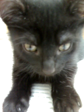 1600x1200 V3x n70 02