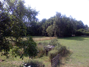 1600x1200 white balance automatic