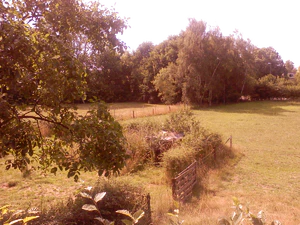 1600x1200 white balance cloudy