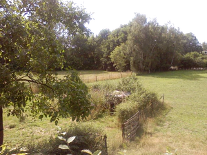 1600x1200 white balance fine