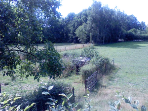 1600x1200 white balance fluorescent