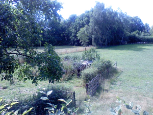 1600x1200 white balance incandescent