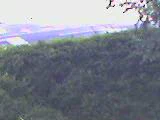160x120 4xzoom new