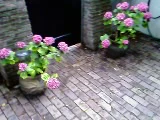 160x120 size