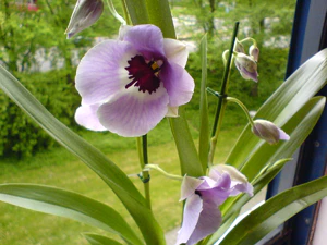 1632x1224 binnen fijn 03