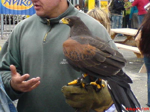 1632x1224 diverse 01