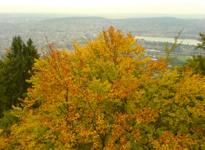 1632x1224 diverse 04