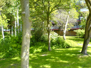 1632x1224 diverse 05