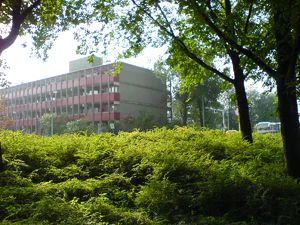 1632x1224 diverse 05