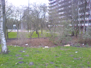 1632x1224 diverse 06