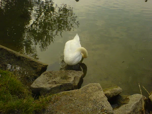 1632x1224 diverse 06