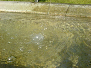 1632x1224 diverse 12