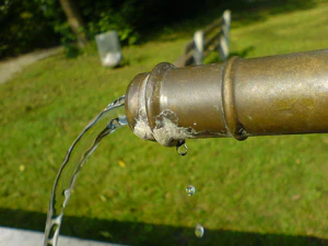 1632x1224 diverse 13