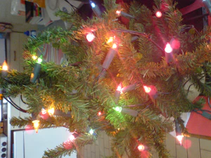 1632x1224 diverse binnen 02