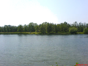 1632x1224 fijn daglicht