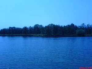 1632x1224 fijn fellicht