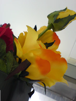 1632x1224 fijn metmacro 02