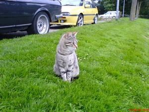 1632x1224 normaal buiten 01