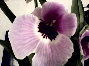 1632x1224 photodj 01