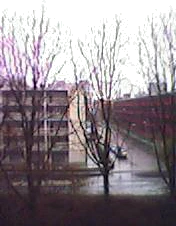 176x232 fijn diverse 01