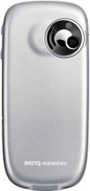 C31 silver back image