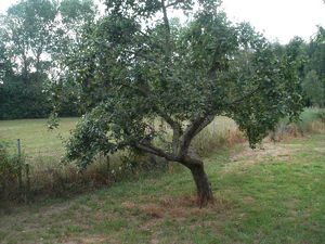 2048x1536 helderheid 1