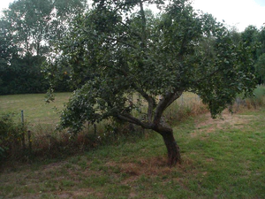 2048x1536 helderheid 2