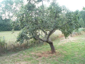 2048x1536 helderheid Plus1